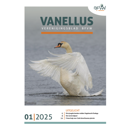 Vanellus los | jaargang 2025