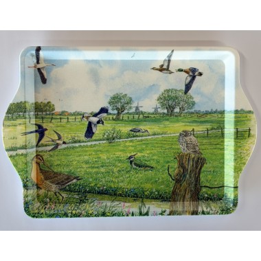 Dienblad weidevogels klein