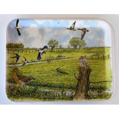 Dienblad weidevogels middel