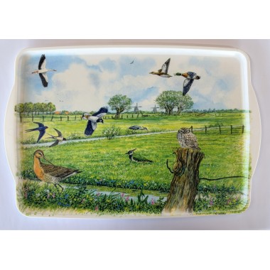 Dienblad weidevogels groot