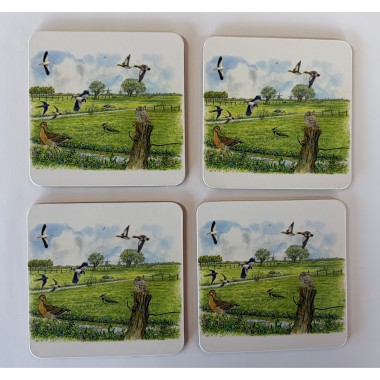 4 onderzetters weidevogels